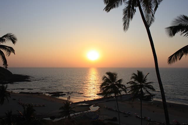 A palm-fringed beach on the Goa coastline