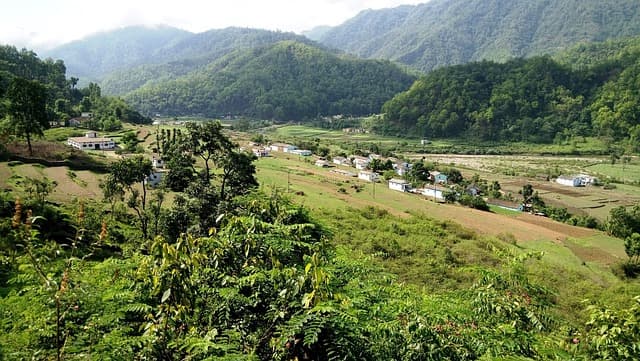 Dense sal forest and grassland of Corbett National Park in the Himalayan foothills